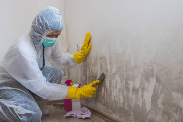 Best Crawl Space Mold Removal  in Nuevo, CA