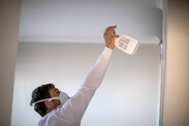 Best Toxic Mold Removal  in Nuevo, CA