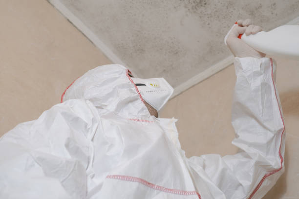 Best Fast Mold Removal  in Nuevo, CA