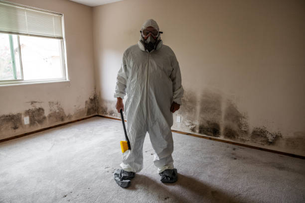 Best Certified Mold Removal  in Nuevo, CA